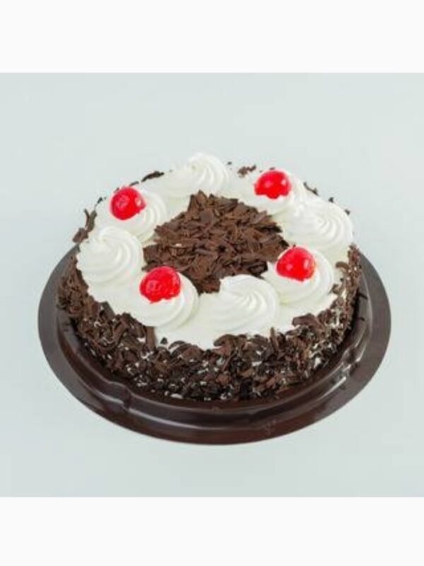 Chocolate forest cake